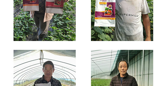 ����Ԫ��ˮ�ܷ�20-20-20+TE-һ����΢��-�̩_10