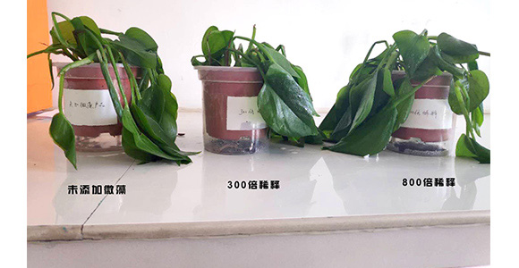 ΢��ԭҺ-һ�n��-�̩_12