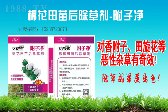 ���ݰ����݄��r��2021��1��14��