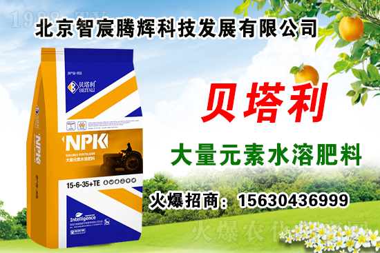 2020��Nʲôˎ����ٍ�X(qi��n)���Nֲˎ�����a(b��)�N������Щˎ���зNֲǰ����