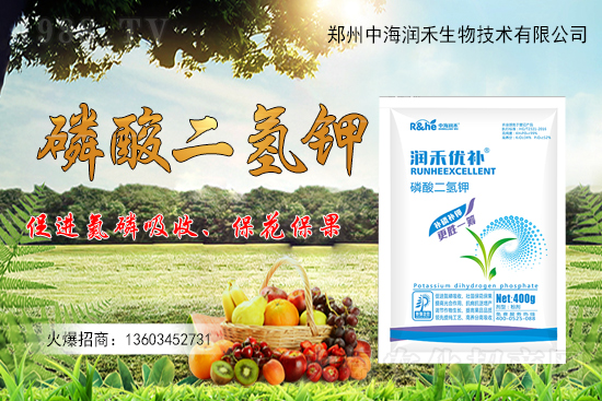 ����һ���굽��ԓ��ôʩ��������ʩ��ע�����(xi��ng)����Щ��