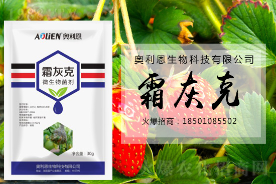 ������ݮ�װl(f��)��ù�����A����ʩ��ô����