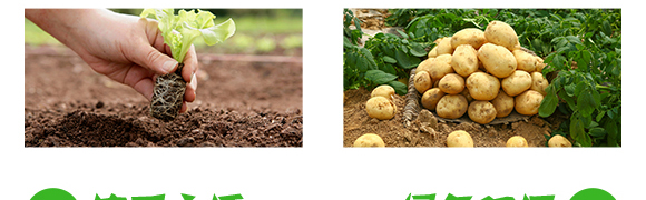 �����E�R���Ú��x(ch��ng)��-����(zh��n)-(li��n)���r(n��ng)�I(y��)_05