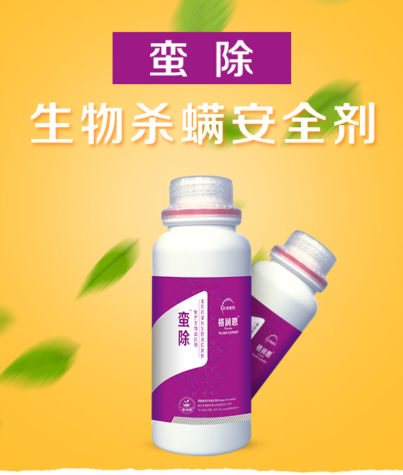 �������-�U������ƿ��-�񝙶�_01