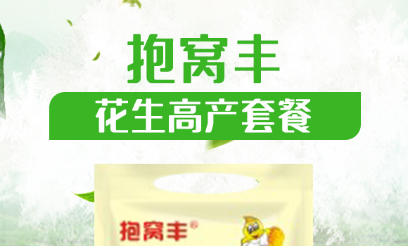 ���݌���-���z��-��Gֲ��_01