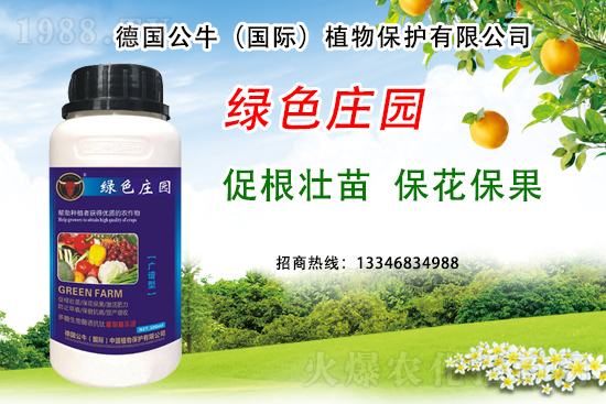 ��ݮ��ɫ������������Щԭ������ݮ��ɫ������ԓ��α�����