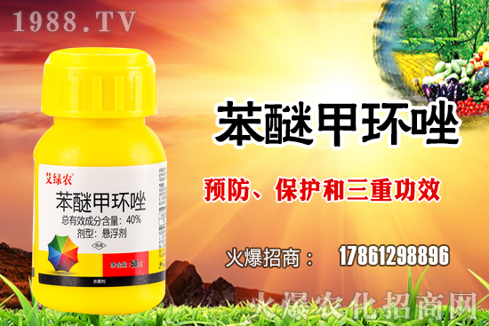 ����������x�����׷N�������׷NֲҪע����Щ���}��