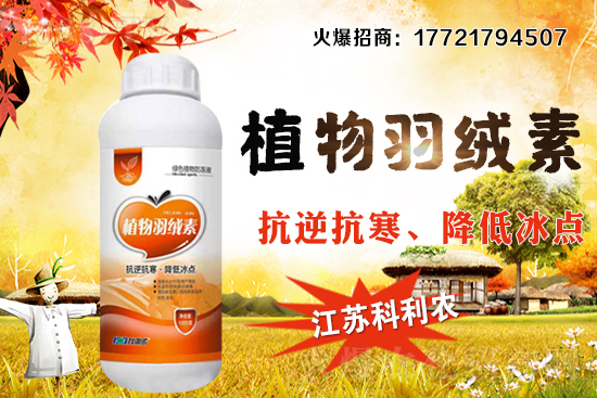 �����׷Nֲ�ܶ���ΰ�����������ʩ�ʼ��к��ڹ�����