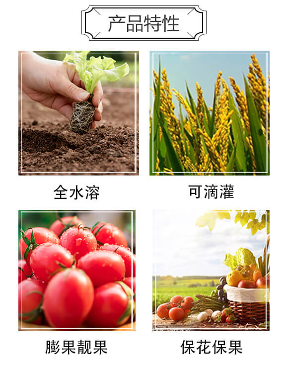 �ߝ������⛏�(f��)�Ϸ���17-17-17-���ܡ��Ľ�-���r(n��ng)���__02