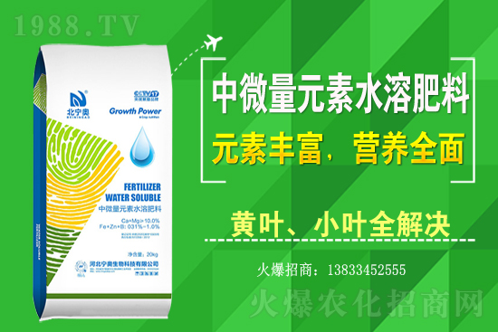 �S����ԓ��ô�Nֲ���S���˷Nֲ�^����ע����Щ���}��