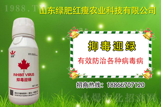 ���β�������Ҳ���ð������ֶ�ӭ�G�����β�������