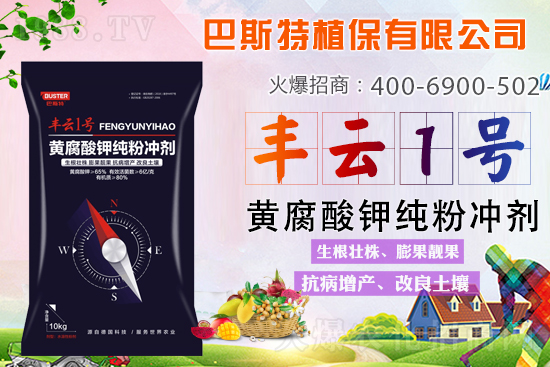 新品上市，定金翻倍！1000定金抵2000，超值優(yōu)惠，限時(shí)搶定...