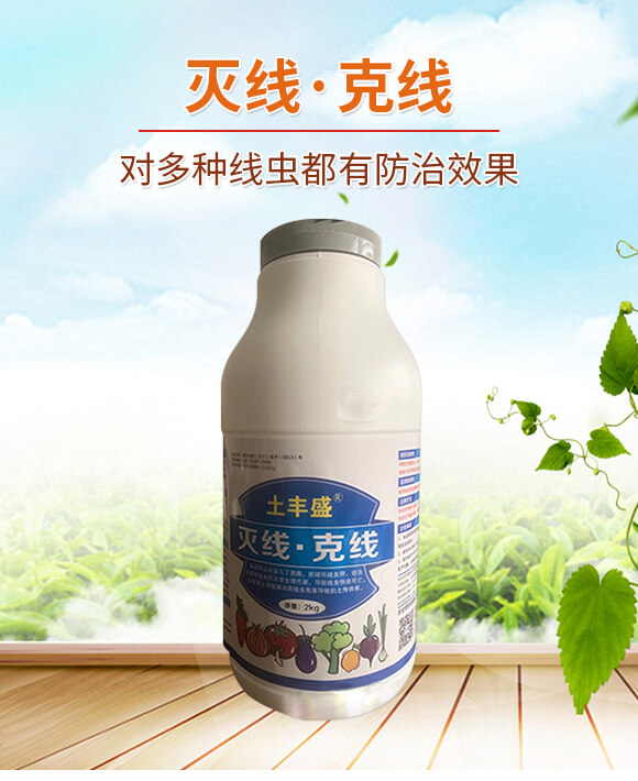 �羀���˾�-���Sʢ-�����_(d��)_01