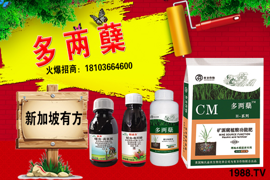 2021�����ַNֲǰ����Σ������ֺ���ͨ�����к΅^(q��)�e��