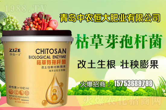 �ݲ�ѿ�ߗU������ǡ����С������ݲ�ѿ�ߗU�����w�������˽����