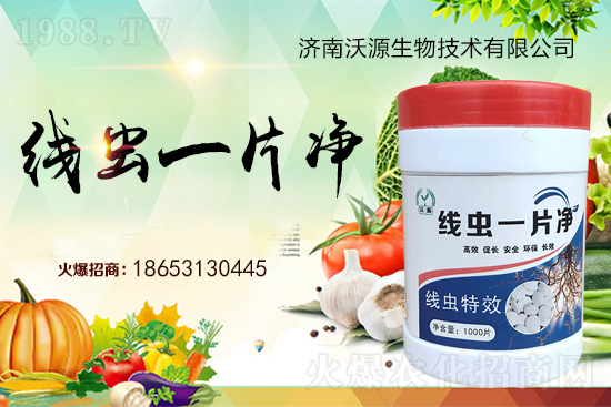 ���Y(ji��)���x�y���������ξ��x�����xһƬ����