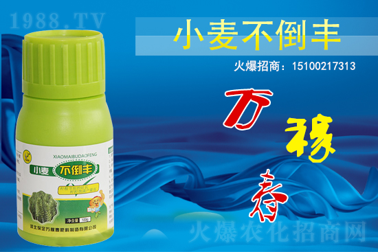 С��������ô����߀������С�������S!