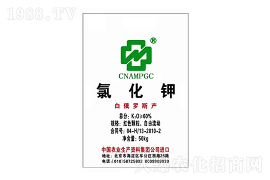 ⛷ʃr�����ٝq����10��15�ո���⛷ʃr��