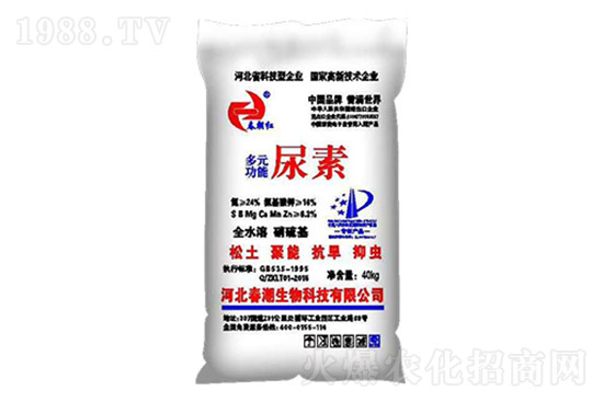 ���؃r���j�q��2021.10.20���؃r������