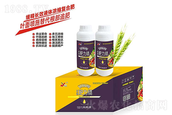 ��(f��)�Ϸ�߀Ҫ�q�����10��26�Տ�(f��)�Ϸʃr���߄�