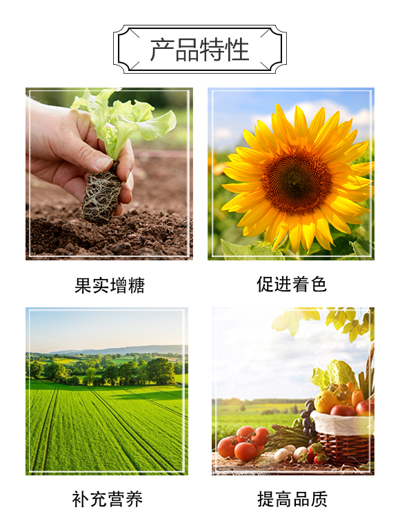 һ���r(n��ng)�I(y��)_03