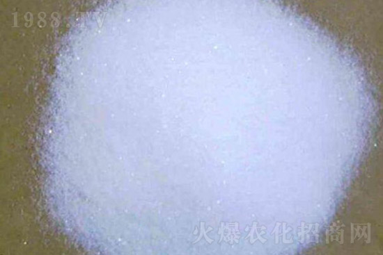 ⛷ʴ�q��⛷ʃr(ji��)��������?q��ng)?b��o)��10��28�գ�