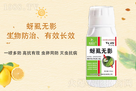 ɽ�|�����S�m(x��)�s1988.TV�����\�����°l(f��)չ