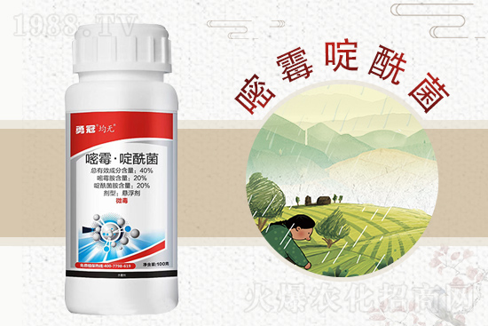 �¹چ̵��ٺ�1988.TV���T�����x����