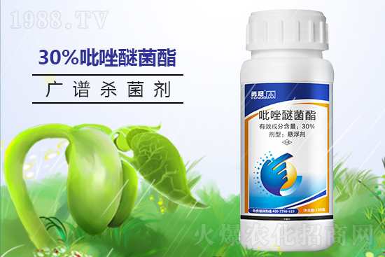 �¹چ̵��ٺ�1988.TV���T�����x����