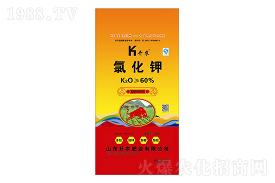 2021��11��10�Շ���(n��i)⛷ʃr(ji��)�������Ӎ