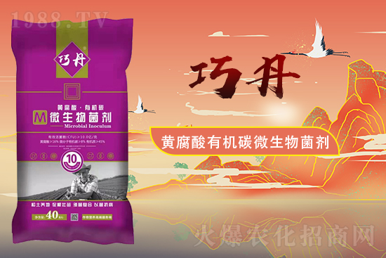 �����P(gu��n)ϵ�����A��ɽ�|�f��ȵ��m(x��)�s1988.TV��