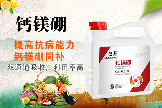 �����P(gu��n)ϵ�����A��ɽ�|�f��ȵ��m(x��)�s1988.TV��