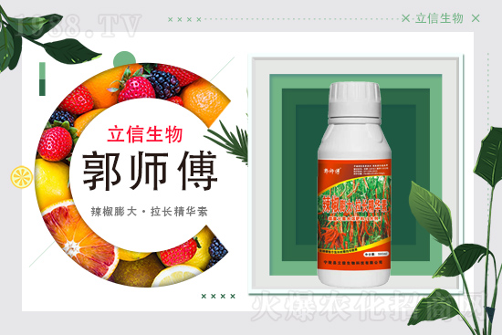 ���������m(x��)�s1988.TV���y�ֹ���(chu��ng)���x����