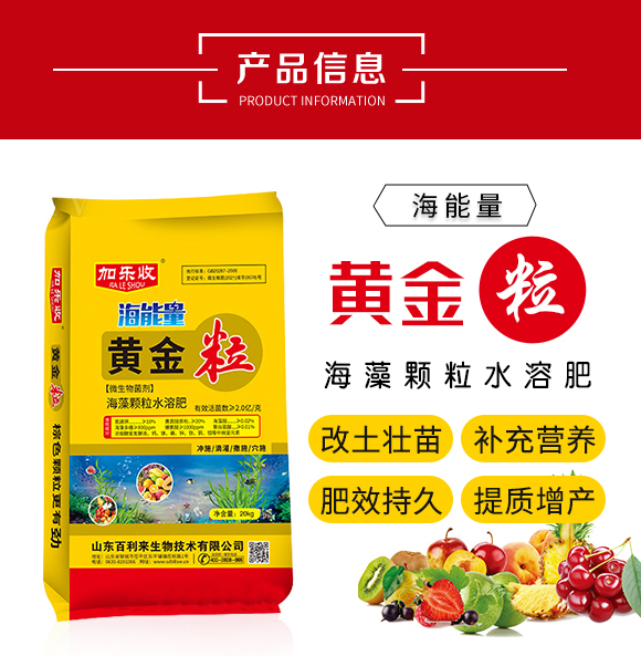 �S����-ɽ�|������(l��i)����_02