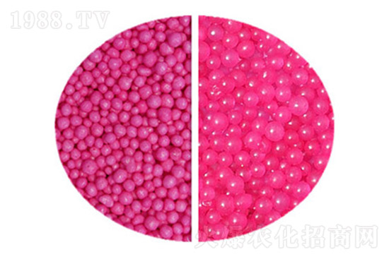 ���ض����Xһ�����������؃r������11��3��