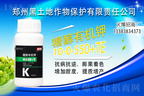 2021��11��9�Շ�(gu��)��(n��i)⛷ʃr(ji��)�������Ӎ