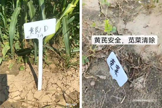 �α�2̖¡������������������ɳ��{�˵��S�γ��݄������ݸ��V����ȫ����