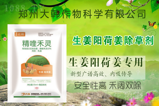 ��ꖺɽ���ô���������ش�ʲô���݄�����ꖺɽ����ݷ�����ע�����(xi��ng)