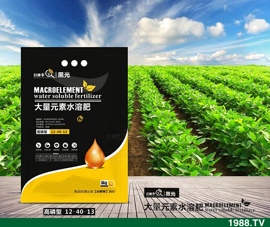 ����(w��n)�\(y��n)�У�2021.12.31����������@�r��