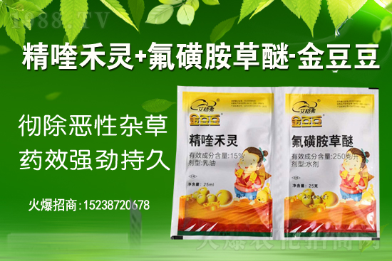 �Ҳݰ����݄��r(ji��)������2021��2��1��