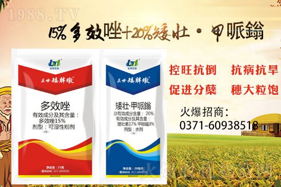 С����������(sh��)���ɓ������I(y��)������Ч��������