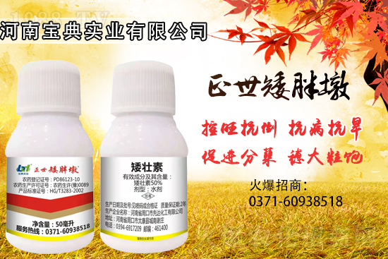 С����������(sh��)���ɓ������I(y��)������Ч��������