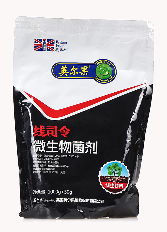 ��(xi��n)�x(ch��ng)����΢�������-��(xi��n)˾��-Ӣ����4