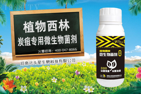 2021��2��3���rˎ�����؃r���Ӎ