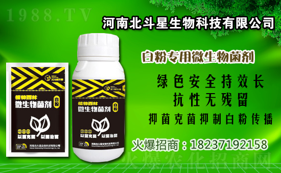 2021��2��3�՚�����ԭˎ�r(ji��)��