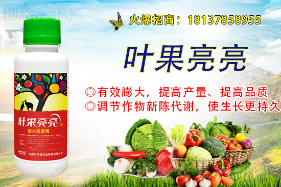 ���ռZ�r(ji��)��С���r(ji��)�����鼰���з���