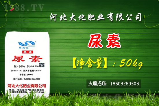 �t��������������Xһ�����Nֲǰ�������