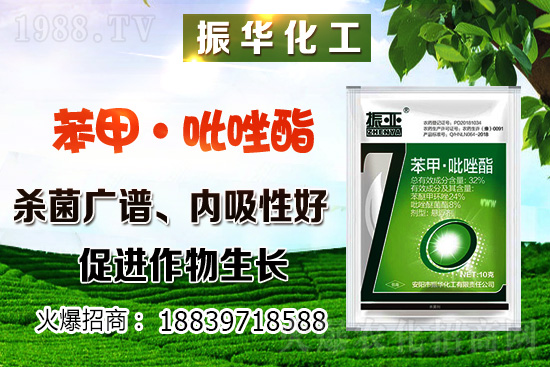 ���ԓ��ô�Nֲ������Nֲ�������h(hu��n)��Ҫ����