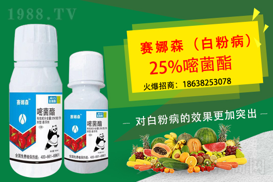 뿾�����?x��)������r��2021.3.10