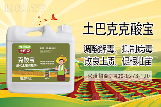 ���մ󶹃r���Ј������r2021��3��10��